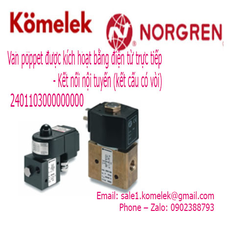 Van poppet được kích hoạt bằng điện từ trực tiếp - Kết nối nội tuyến (kết cấu có vòi)