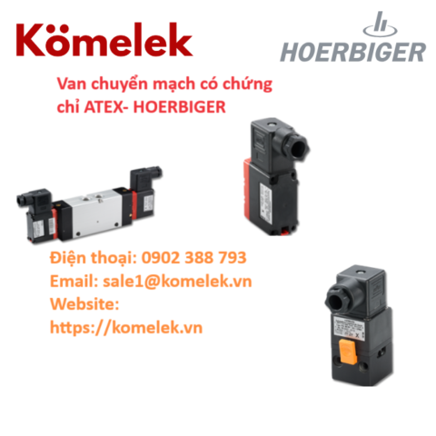 Van chuyển mạch có chứng chỉ ATEX- HOERBIGER