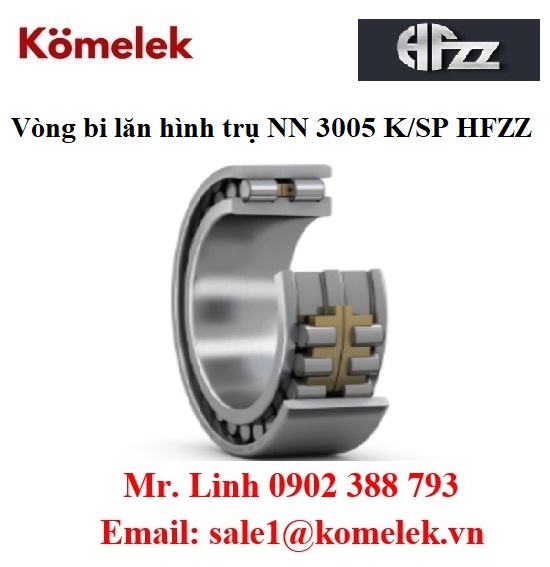 dai ly hfzz, Vòng bi lăn hình trụ NN 3005 K/SP HFZZ