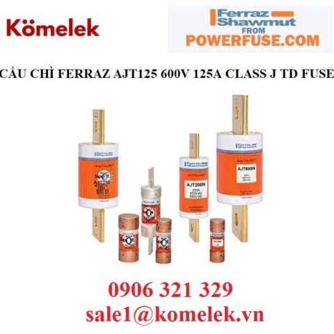 CẦU CHÌ FERRAZ AJT125 600V 125A CLASS J TD FUSE, đại lý ferraz