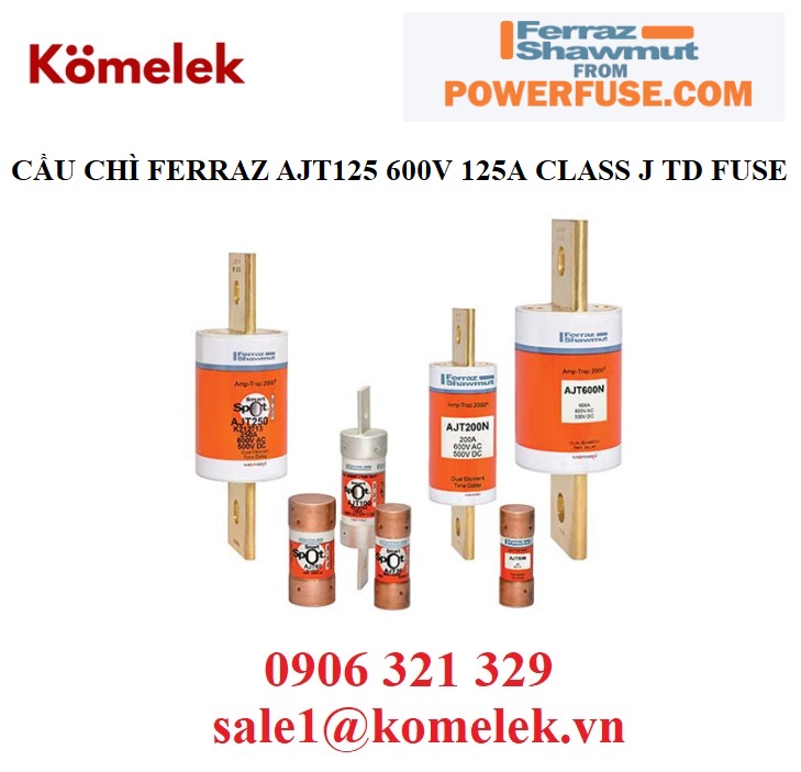 CẦU CHÌ FERRAZ AJT125 600V 125A CLASS J TD FUSE, đại lý ferraz
