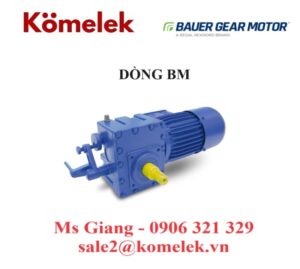 ĐỘNG CƠ BAUER DÒNG BM