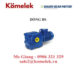 ĐỘNG CƠ BAUER DÒNG BS