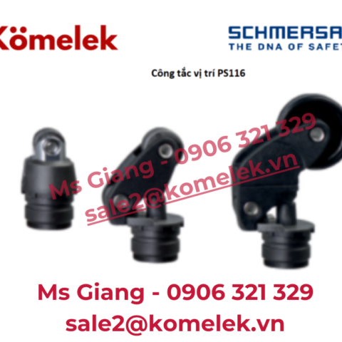 Con lăn Schmersal PS116 R200 