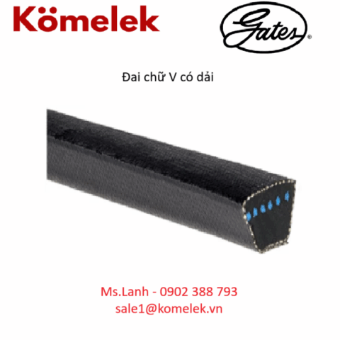 Đai chữ V có dải