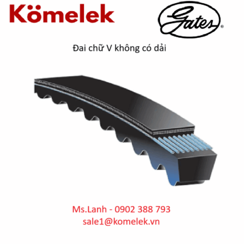 Đai chữ V không có dải