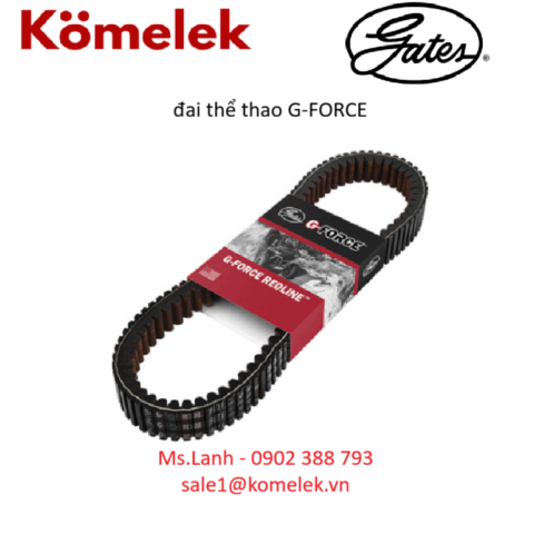 đai thể thao G-FORCE