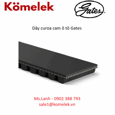 dây curoa cam ô tô