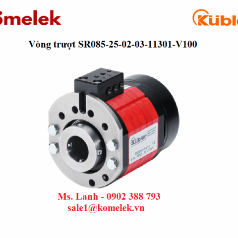 Vòng trượt Kubler SR085-25-02-03-11301-V100