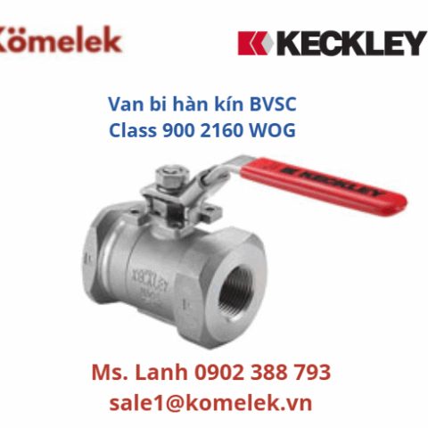 Van bi hàn kín BVSC Class 900 2160 WOG