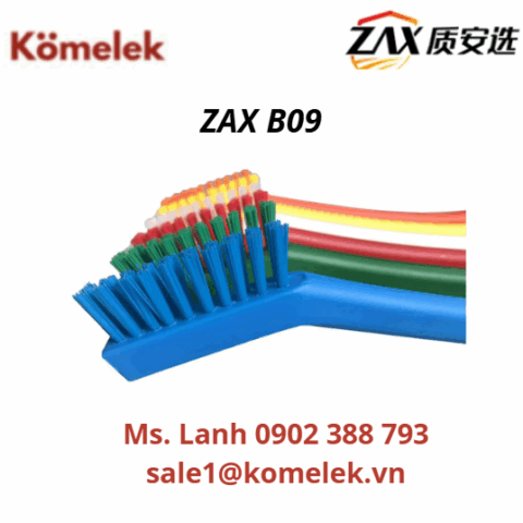 ZAX B09