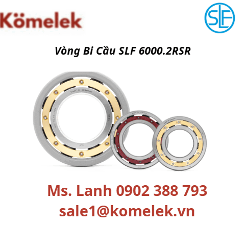 Vòng Bi Cầu SLF 6000.2RSR